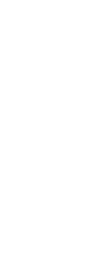 Said-Rubaii-Dots-Header Said-Rubaii-Dots-Header